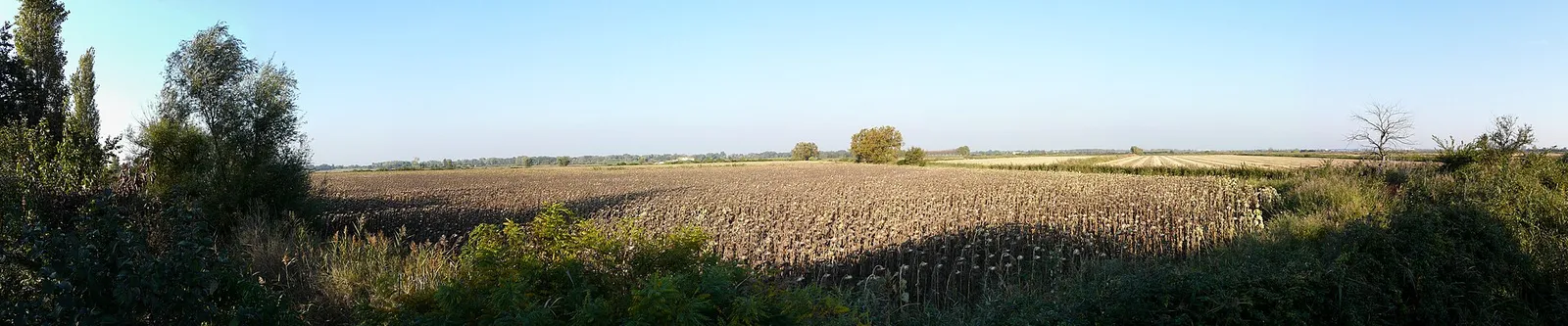 Un paysage dégagé de Petite Camargue, dans le couloir du mistral