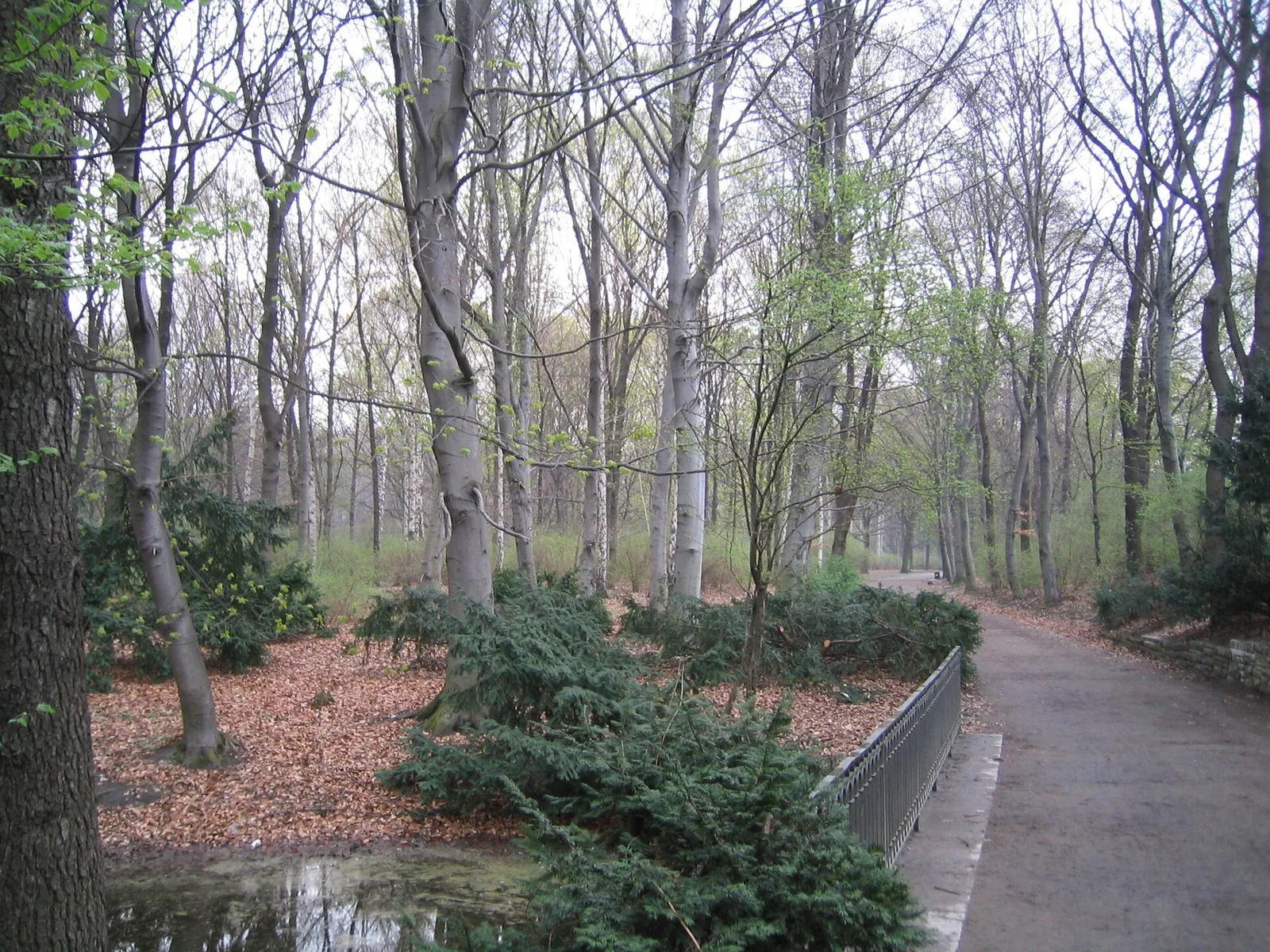 Le parc du Tiergarten à Berlin