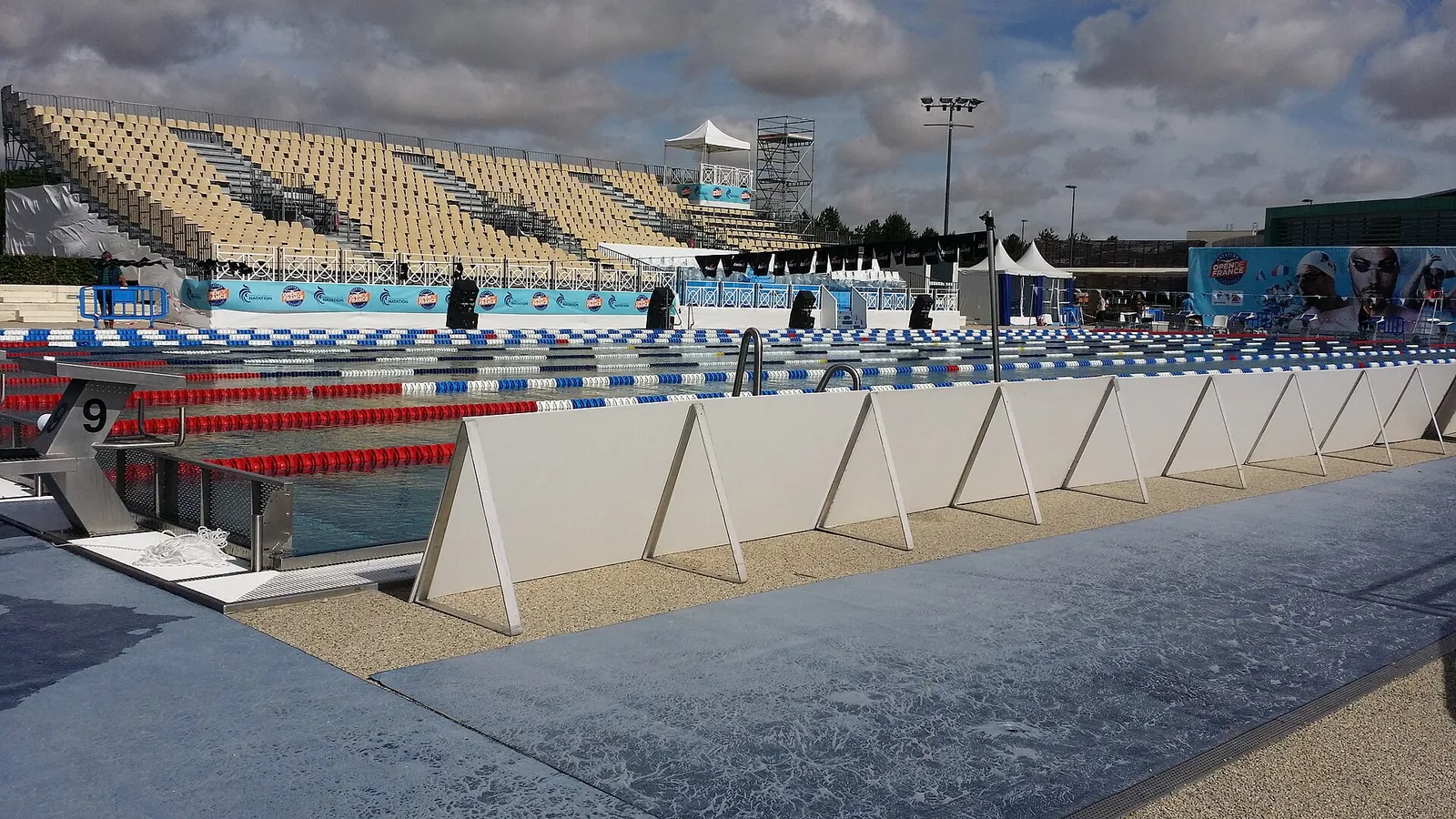 Une compétition de natation en bassin (illustration)