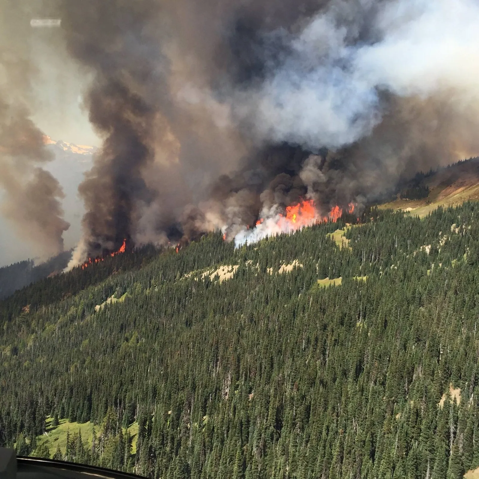 Flammes et fumée dans un massif forestier