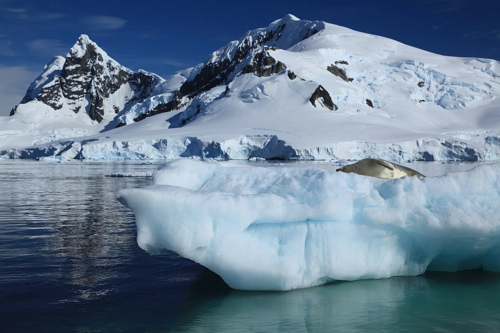 Iceberg en Antarctique (illustration)