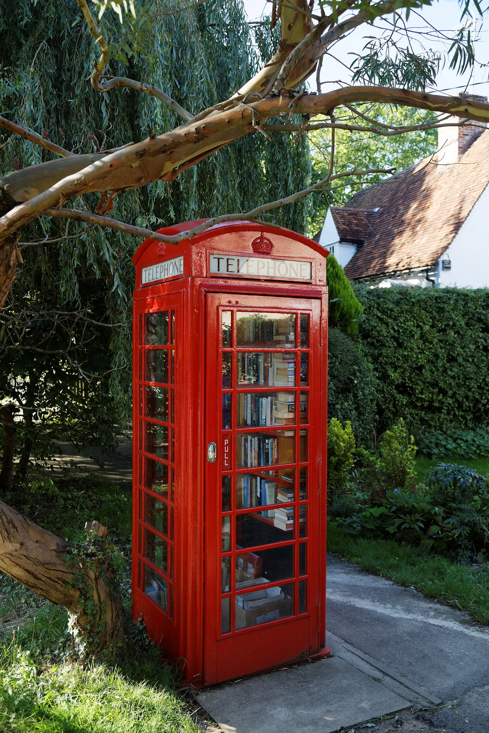 Boîte à livres en libre-service dans un village (illustration)