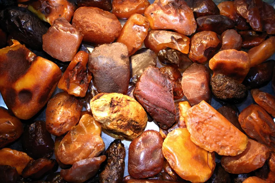 Morceaux d'ambre fossile