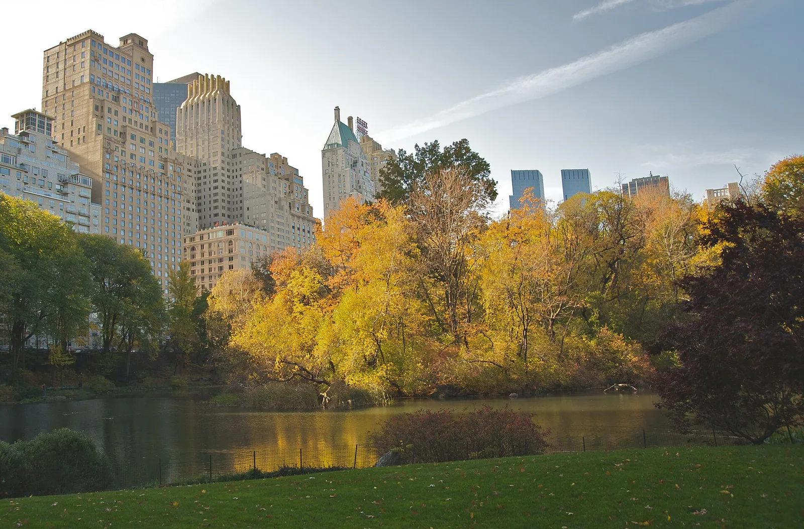 Central Park à New York, décor de la « dame aux pigeons » (illustration)
