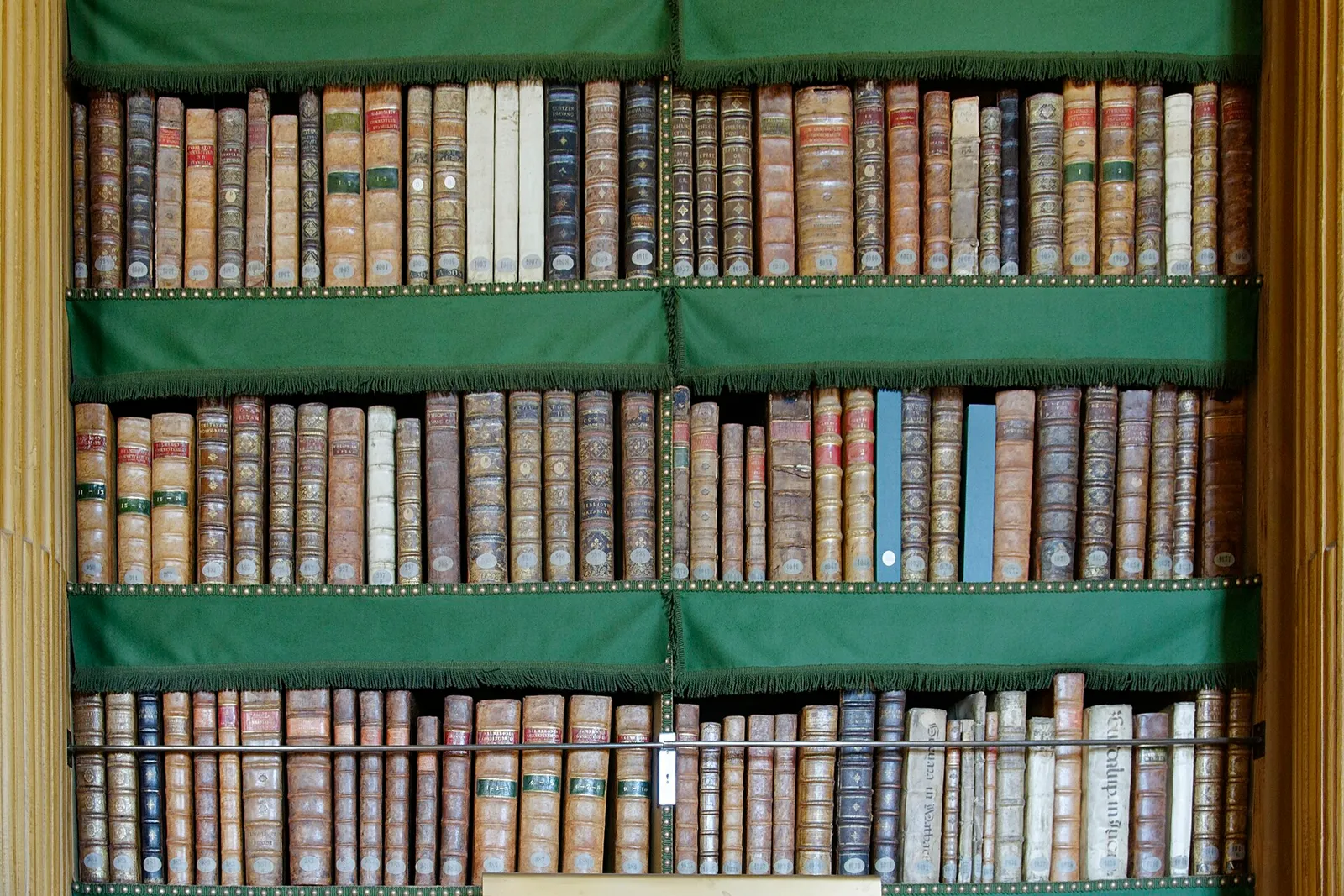 Rayonnages de livres (illustration)