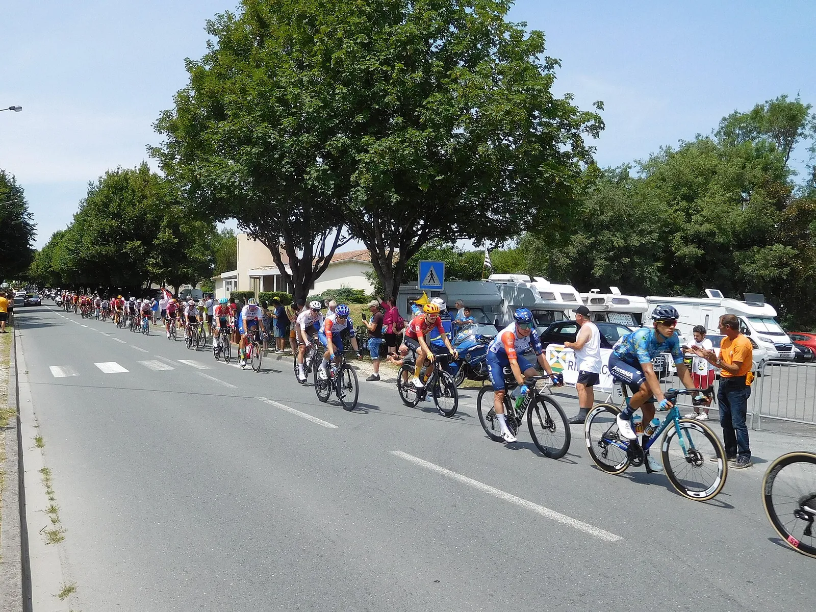 Le peloton du Tour de France (illustration)