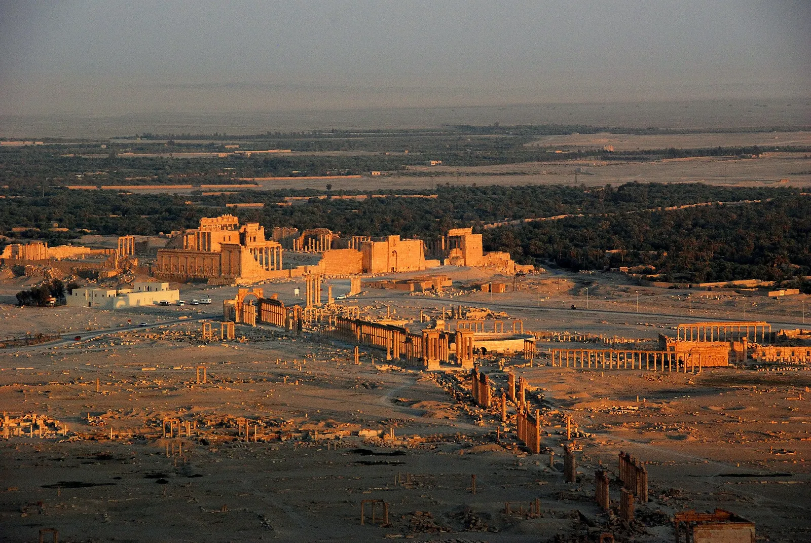 La grande colonnade du site antique de Palmyre, en Syrie