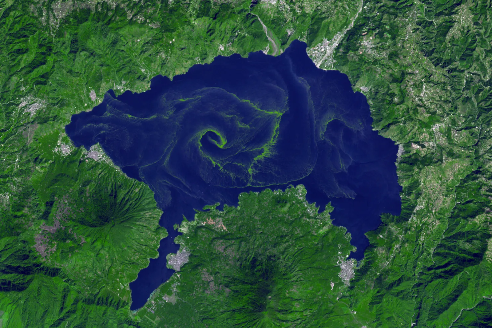Une prolifération d'algues bleu-vert à la surface d'un lac