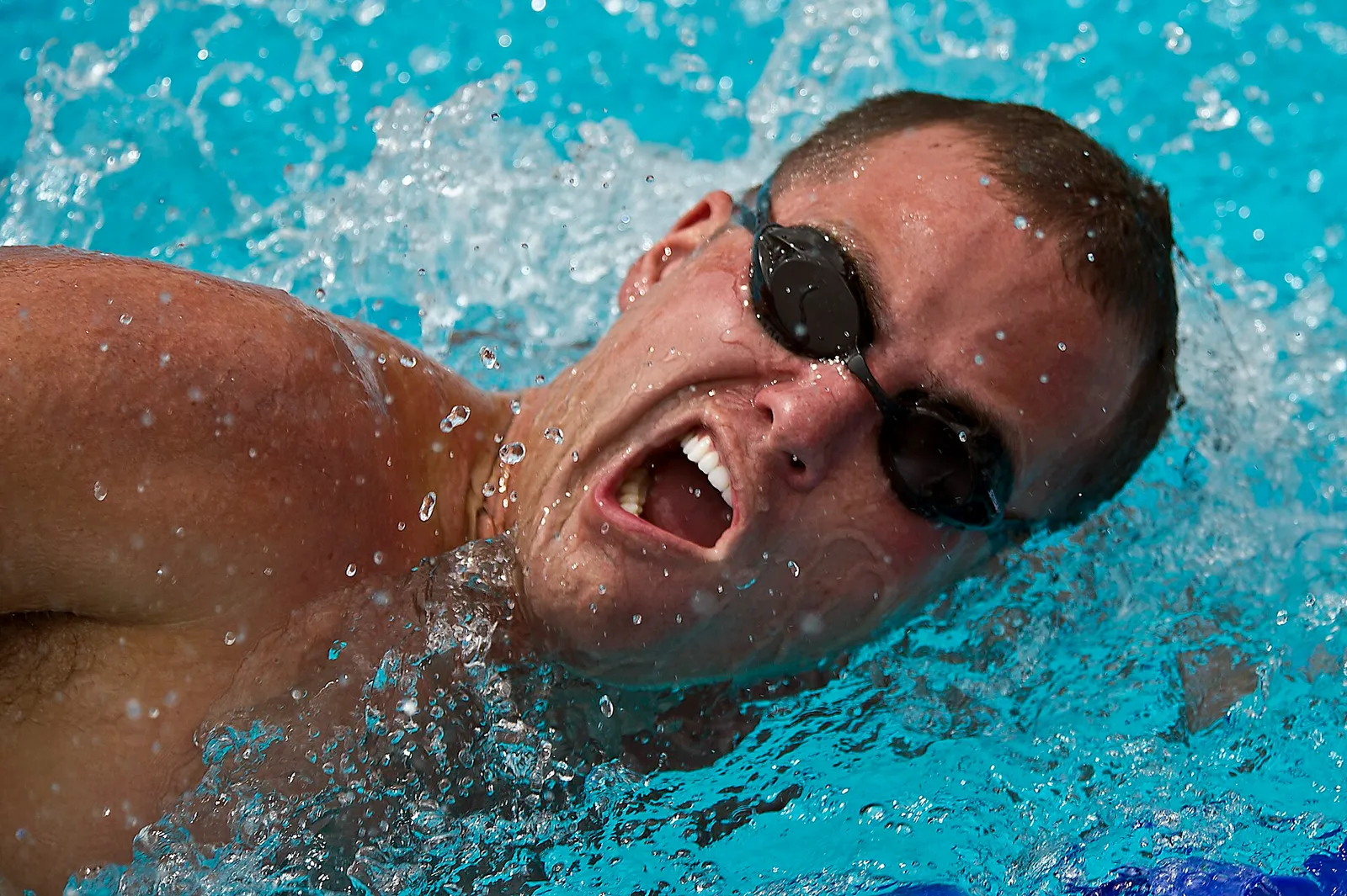 Une course de natation en bassin (illustration)
