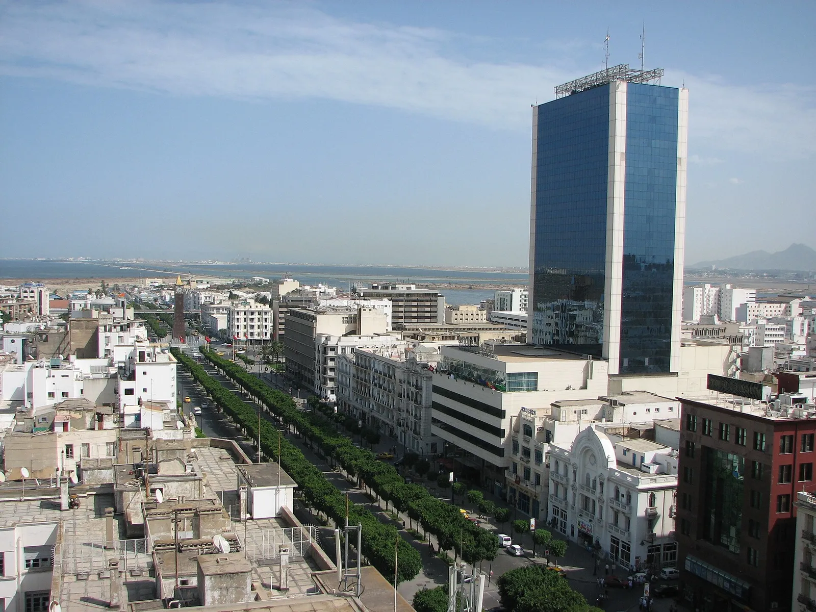 L'avenue Habib-Bourguiba, à Tunis (illustration)