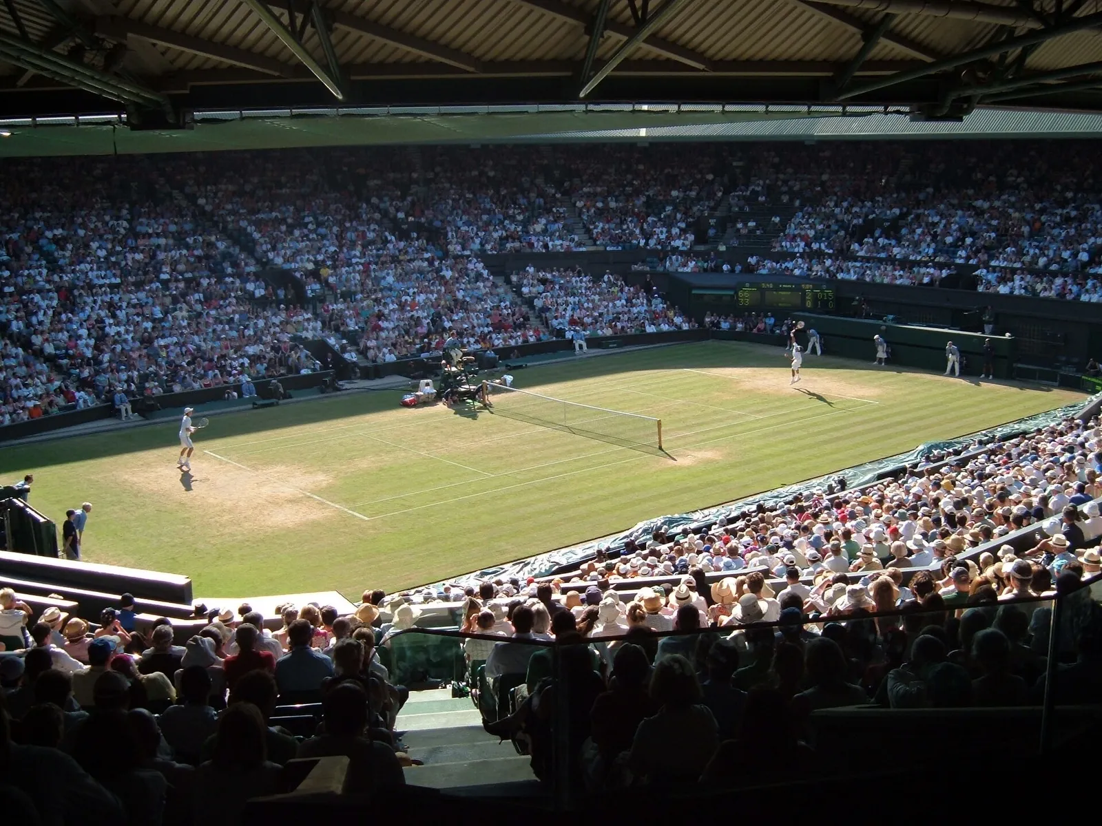 Le gazon de Wimbledon (illustration)