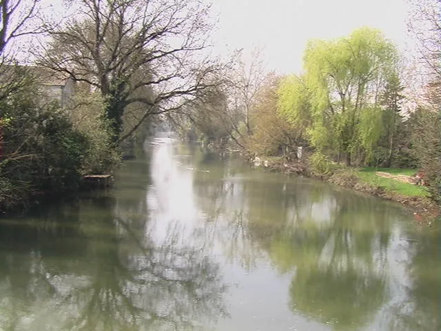 Le Clain, à hauteur du pont Saint-Cyprien, à Poitiers