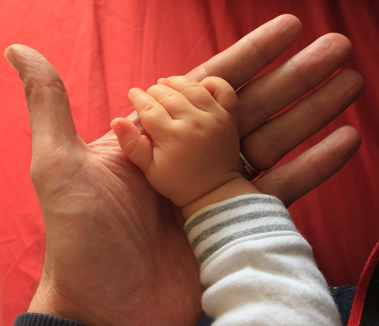 La main d'un bébé dans celle d'un adulte (illustration)