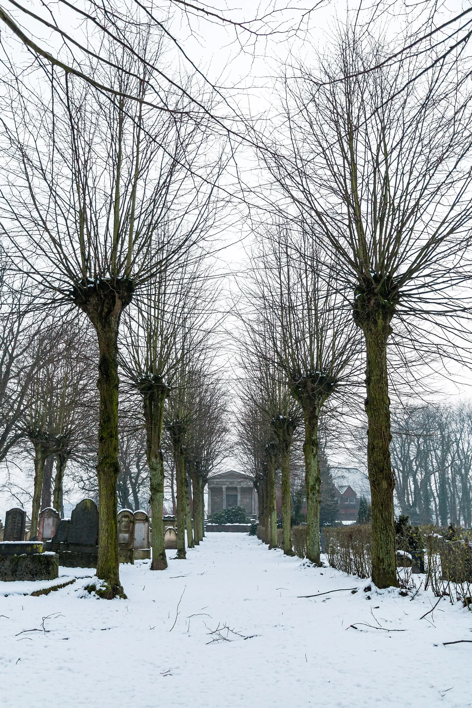 Un cimetière (illustration)