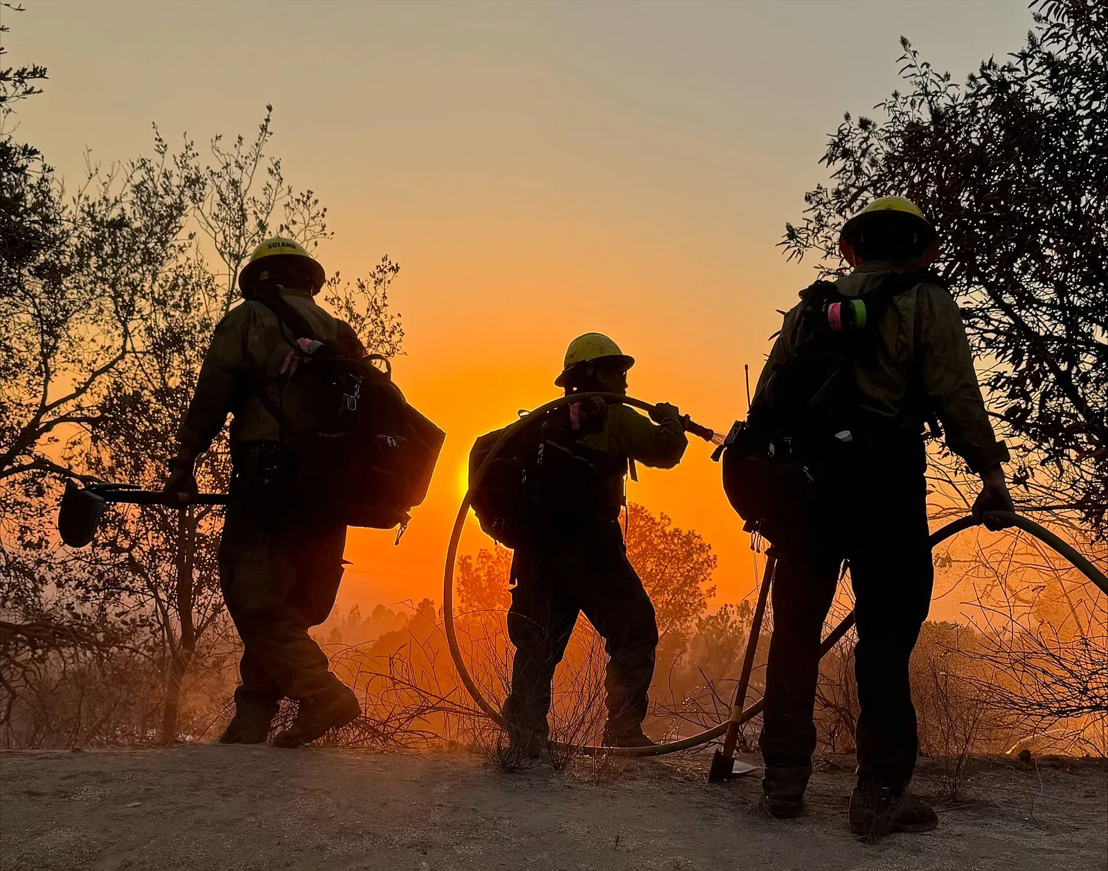 Pompiers luttant contre un feu de forêt (illustration)