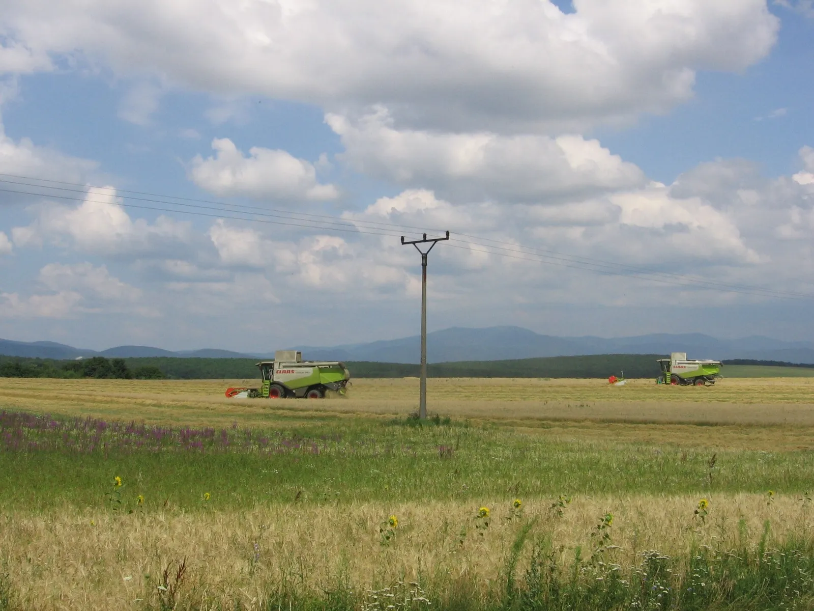 Moisson dans un champ (illustration)