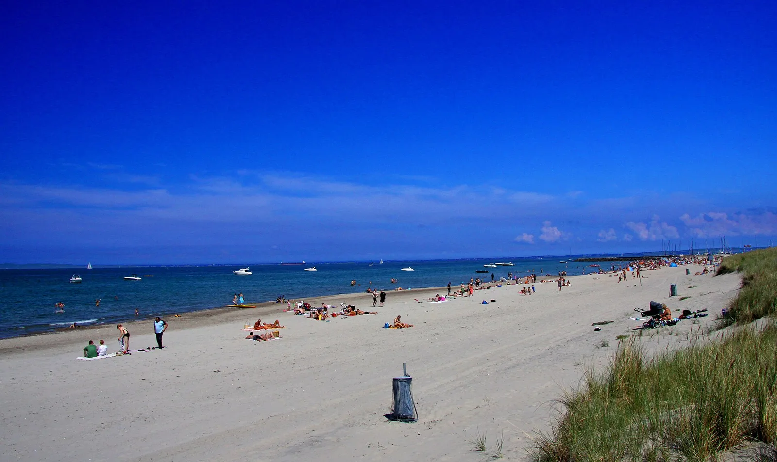 Plage en été (illustration)