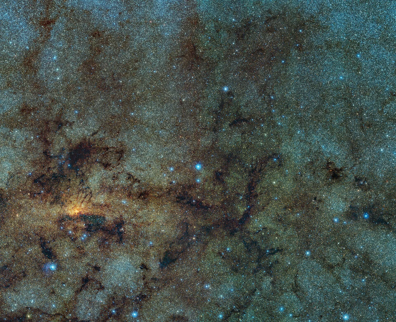 Champ dense d'étoiles près du centre de la Voie lactée