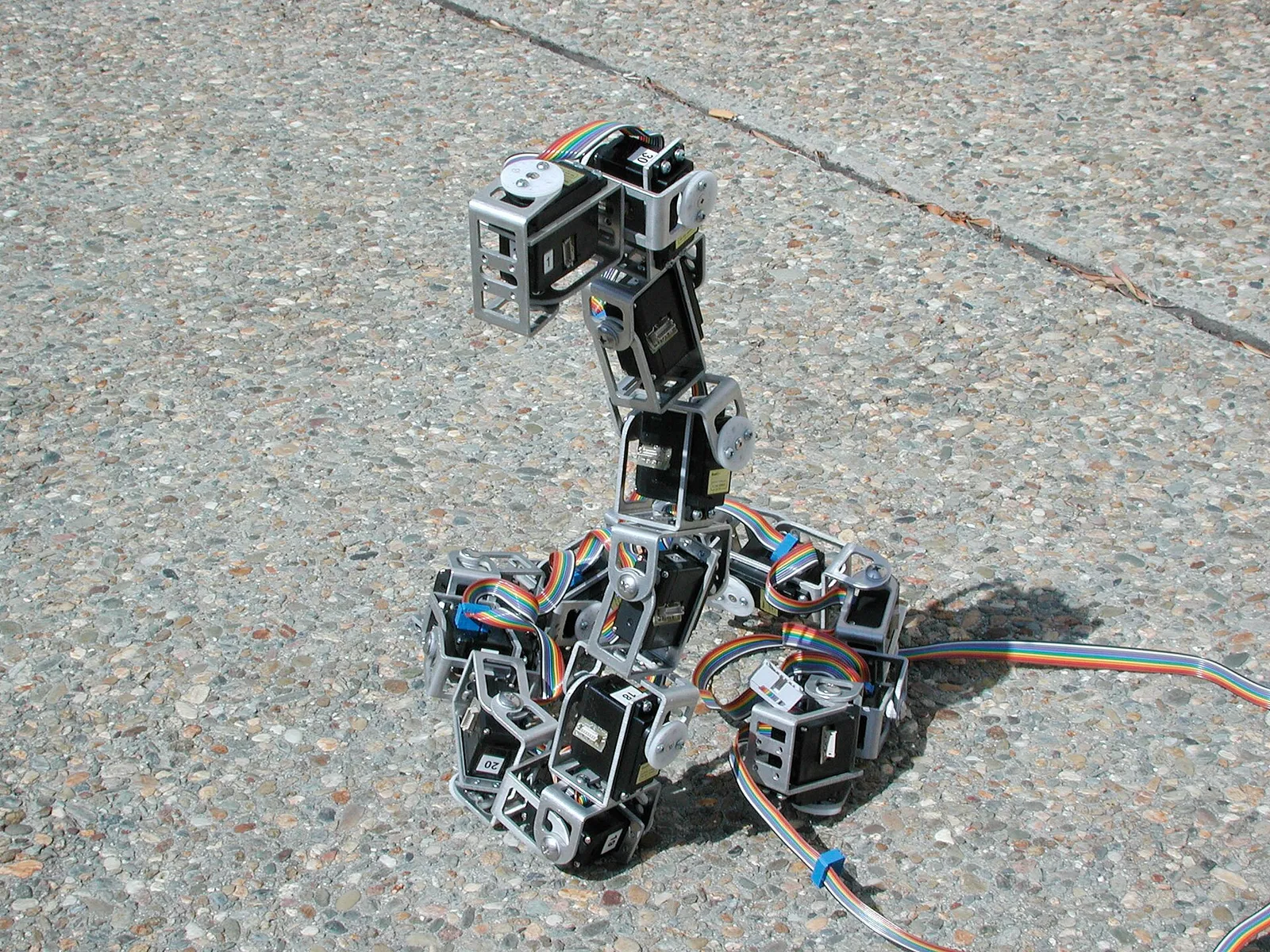 Un robot articulé en forme de serpent