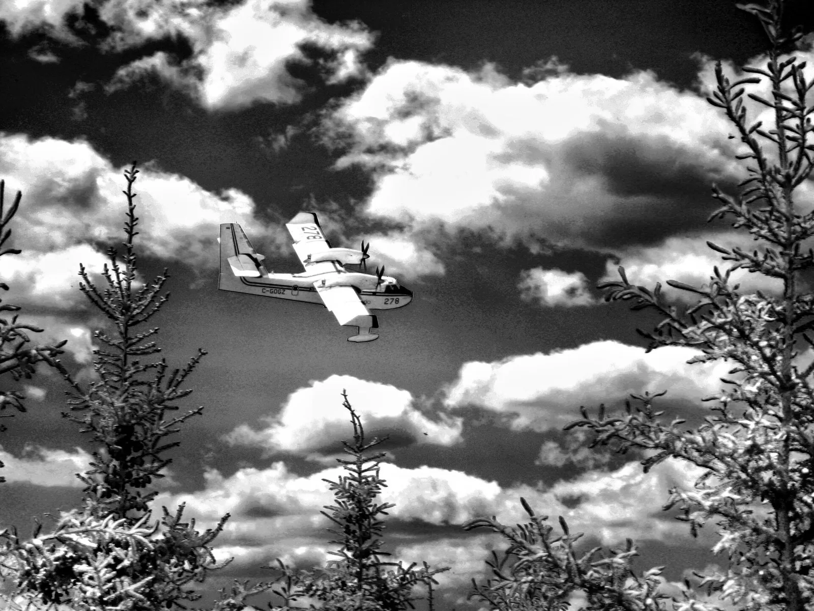 Avion bombardier d'eau en approche au-dessus d'un feu de forêt