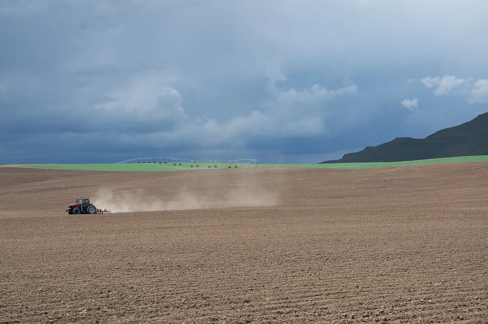 Un tracteur dans un champ (illustration)
