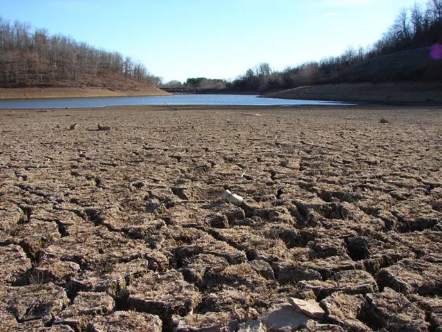 Un lac asséché aux terres craquelées, en période de sécheresse
