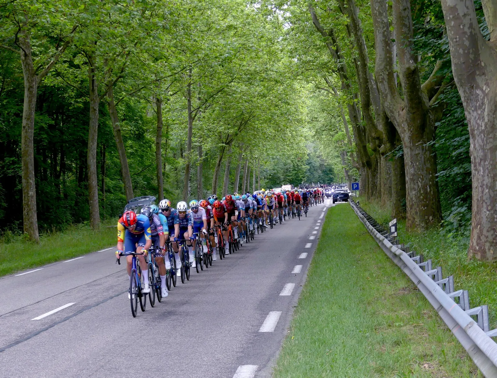 Le peloton du Tour de France 2024 en Combe de Savoie