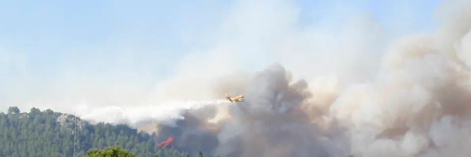 Avion bombardier d'eau au-dessus d'un feu de forêt