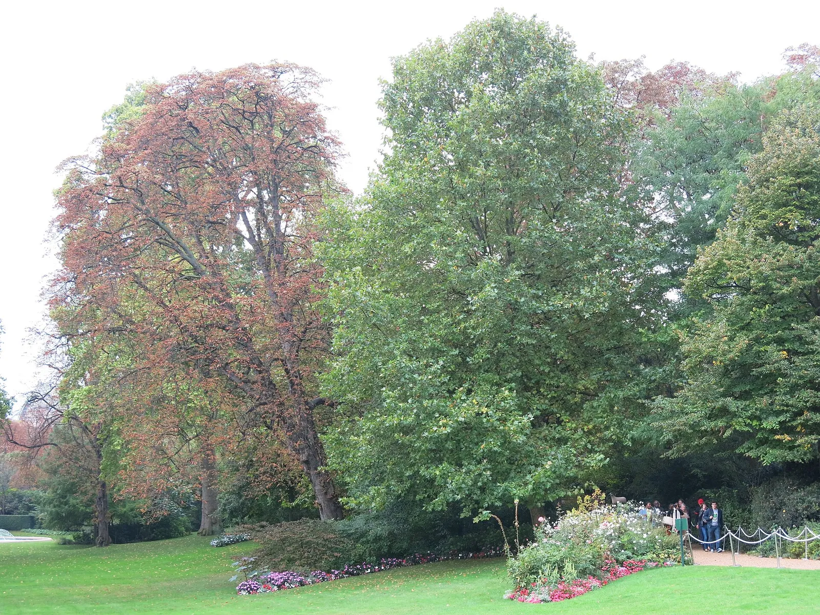 De grands arbres apportent de l'ombre dans un jardin parisien (illustration)