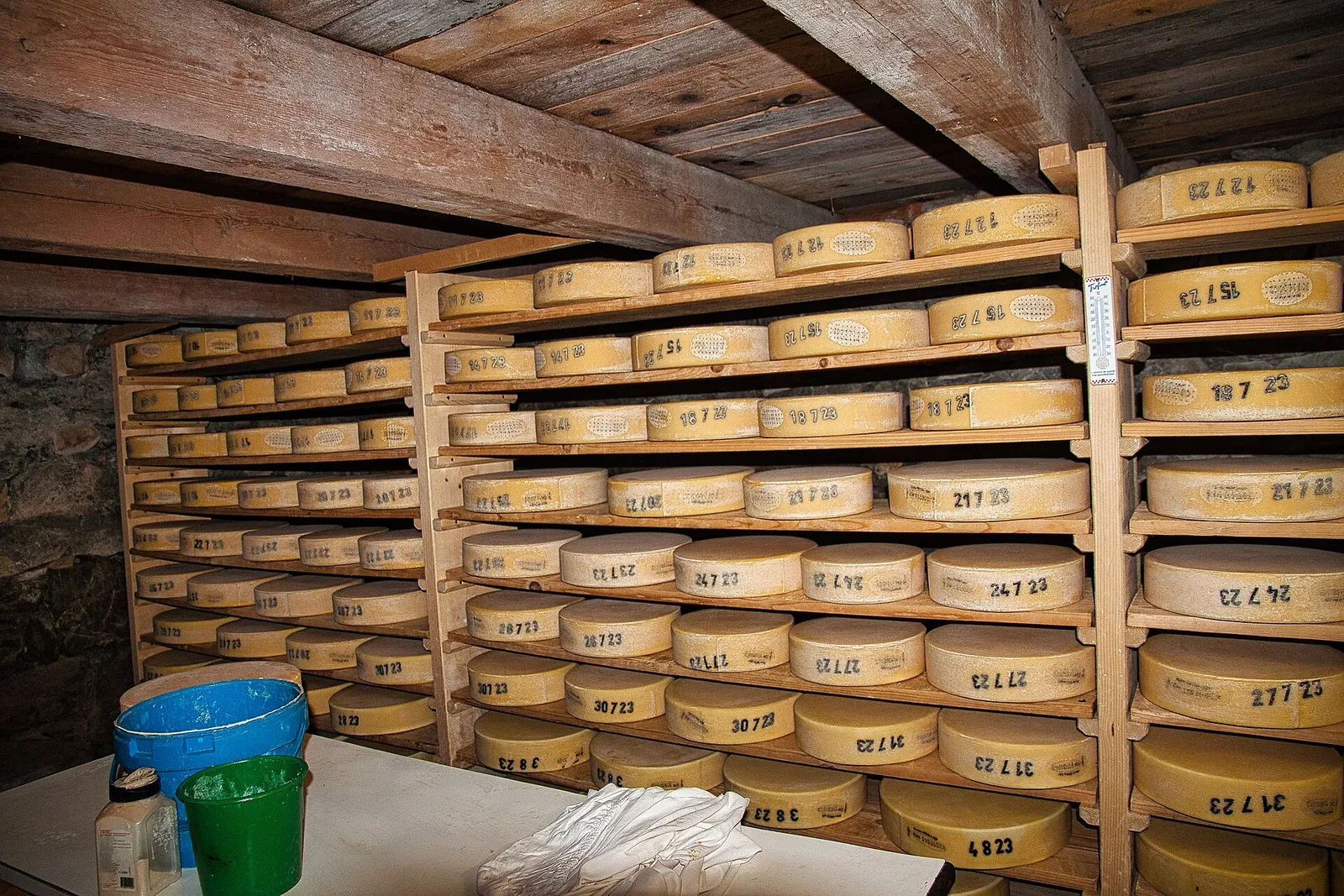 Des meules de fromage en cave d'affinage (illustration)